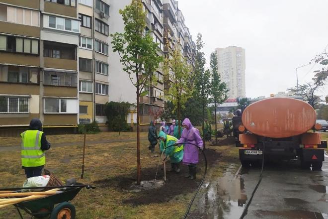 Стаття На Дарниці висадили липову алею. П’янкий аромат дерева подарують вже наступного літа Ранкове місто. Київ