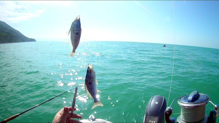 Стаття Оккупанты запретили рыбалку в Черном море до весны Ранкове місто. Київ