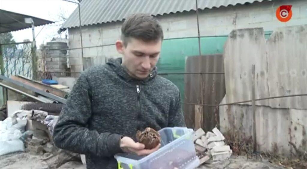 Стаття Житель Мариуполя создал центр реабилитации диких животных: видео Ранкове місто. Київ