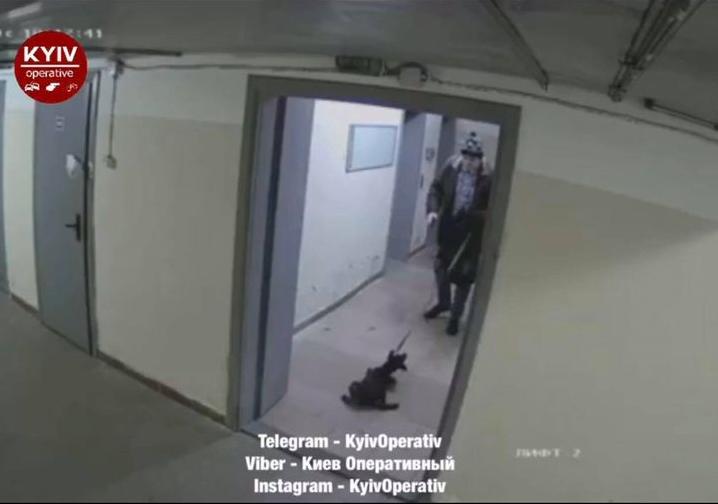 Стаття В Киеве разыскивают собаку, которую избивал хозяин! Ранкове місто. Київ