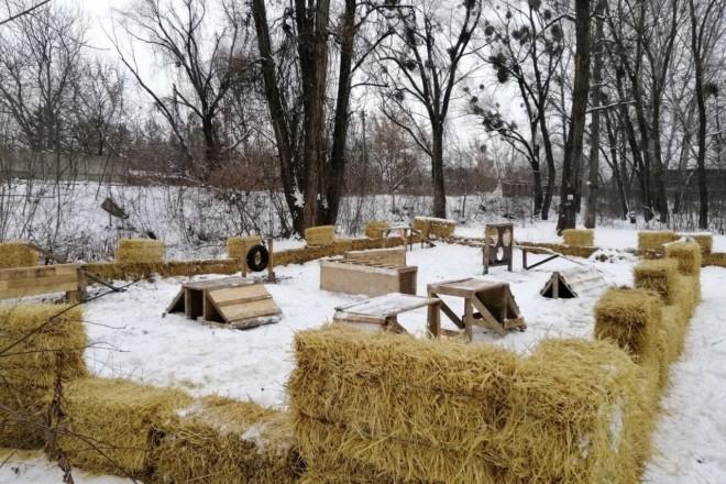 Стаття Як в Європі: у Дніпровському районі створили майданчик для вигулу собак Ранкове місто. Київ