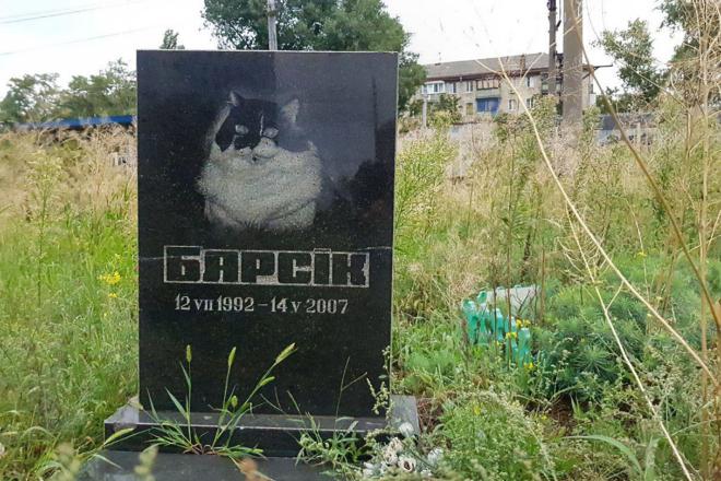 Стаття Або самі, або комунальники. На Лівому березі зачистять “кладовища” тварин у зелених зонах Ранкове місто. Київ