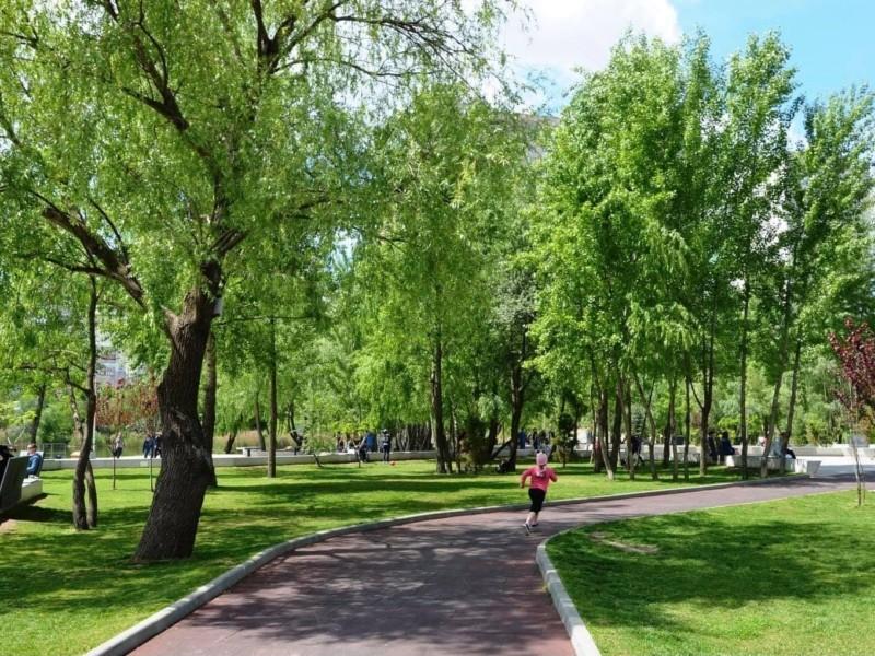 Стаття Близько 30 нових парків та скверів буде створено в Києві (АДРЕСИ) Ранкове місто. Київ