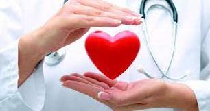 Стаття В Северодонецке 14 июня врачи будут бесплатно обследовать пациентов с болезнями сердца Ранкове місто. Київ