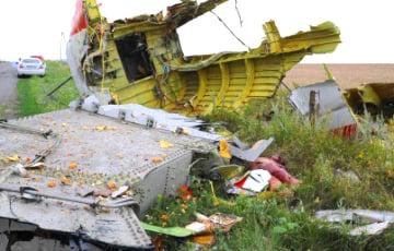 Стаття Выпущенная из «Бука» ракета - единственная причина катастрофы рейса MH17, - суд в Гааге ФОТО Ранкове місто. Київ