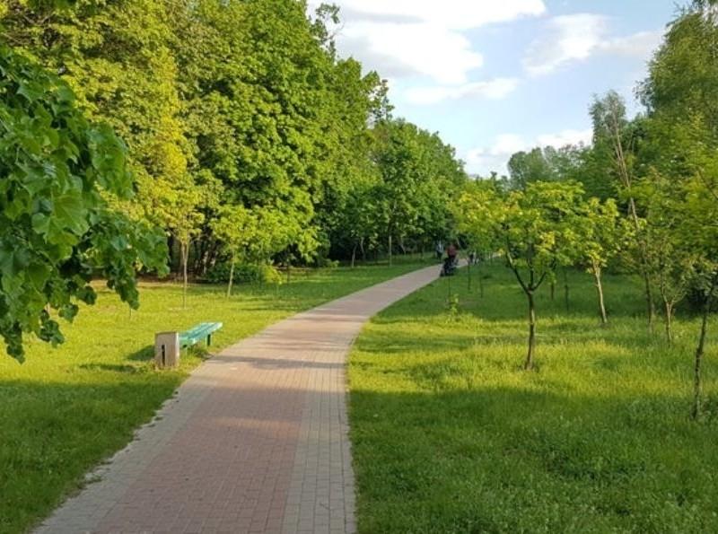 Стаття Кияни просять облаштувати в парку “Сирецький Гай” кілька майданчиків Ранкове місто. Київ