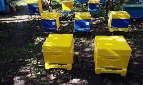 Стаття На Луганщине только в Марковском лицее будут готовить пчеловодов: закупили оборудование по гранту Ранкове місто. Київ