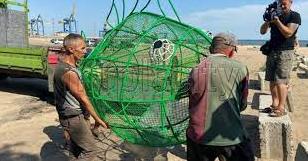 Стаття На пляже Азовского моря в Мариуполе появилась «рыба» для сбора пластика (фото) Ранкове місто. Київ