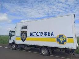 Стаття С 16 августа в Северодонецке вновь заработает «ЗооКонтроль» Ранкове місто. Київ