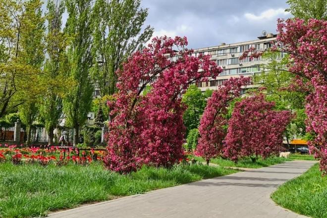 Стаття В Києві з’являться 13 нових зелених просторів (ЛОКАЦІЇ) Ранкове місто. Київ