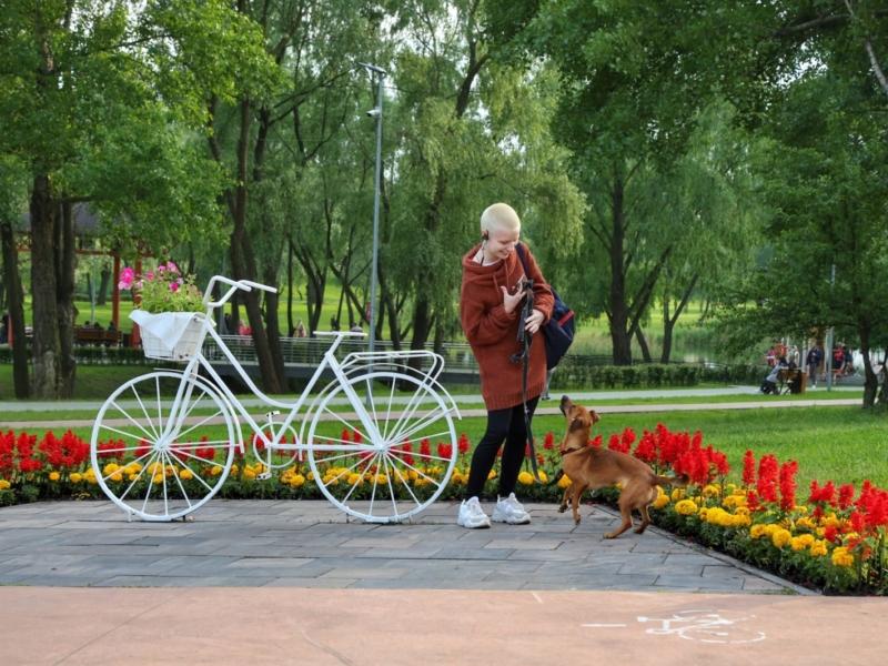 Стаття Гуляй, душа! У Дніпровському районі відкриють майданчик для вигулу собак Ранкове місто. Київ