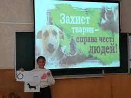 Стаття Дни доброты: гимназия № 5 собрала помощь для котиков (фото) Ранкове місто. Київ