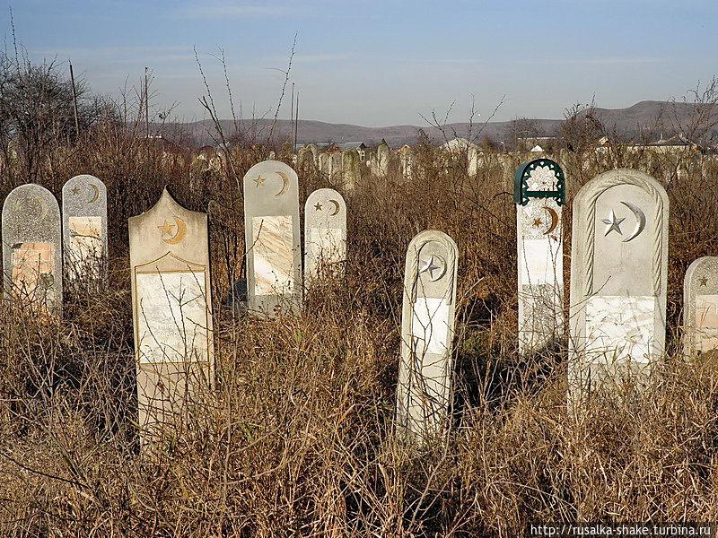 Статья Останки вывозят в лес: оккупанты застраивают мусульманские кладбища в Крыму Утренний город. Киев