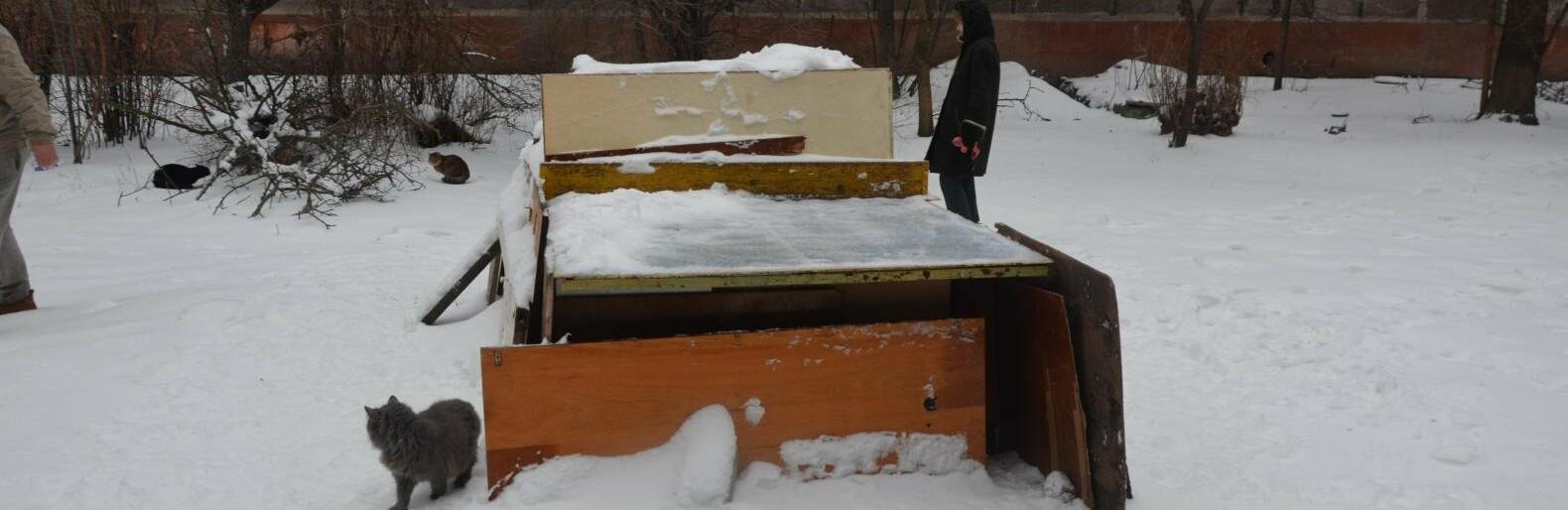 Статья Жители Мариуполя построили домик для бездомных котов из теннисного стола (фото) Утренний город. Киев