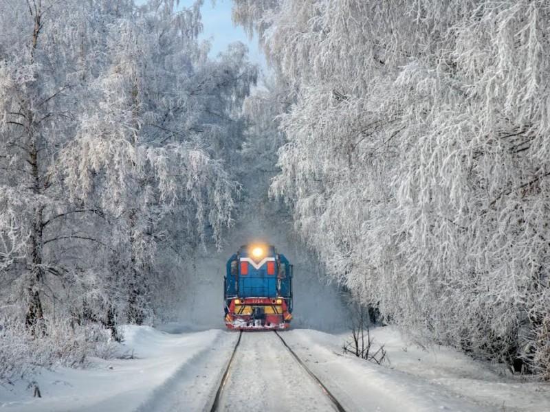 Статья Дитяча залізниця працюватиме до кінця січня: розклад Утренний город. Киев