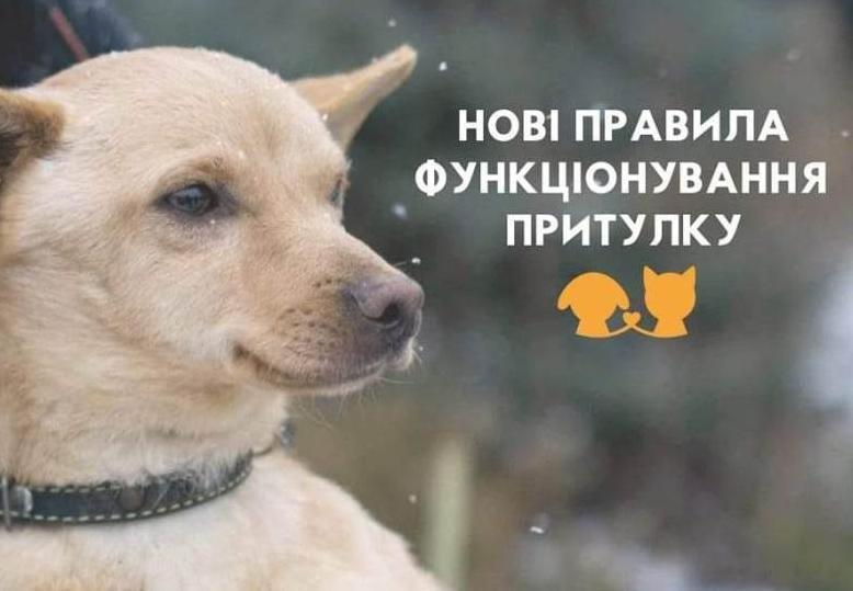 Стаття Притулок для тварин «Сіріус» планують зменшити Ранкове місто. Київ