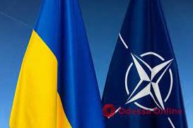Стаття Петиция к НАТО о закрытии неба над Украиной набрала необходимый миллион голосов Ранкове місто. Київ