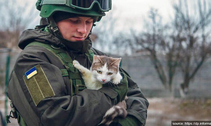 Стаття Save Pets of Ukraine: як можна допомогти чотирилапим під час війни? ФОТО Ранкове місто. Київ