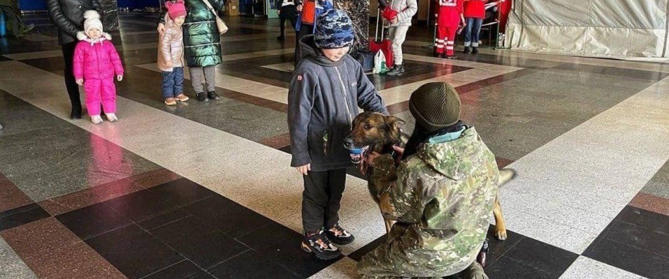 Стаття Кінологи із собаками на київському вокзалі рятують дітей від жахів війни Ранкове місто. Київ