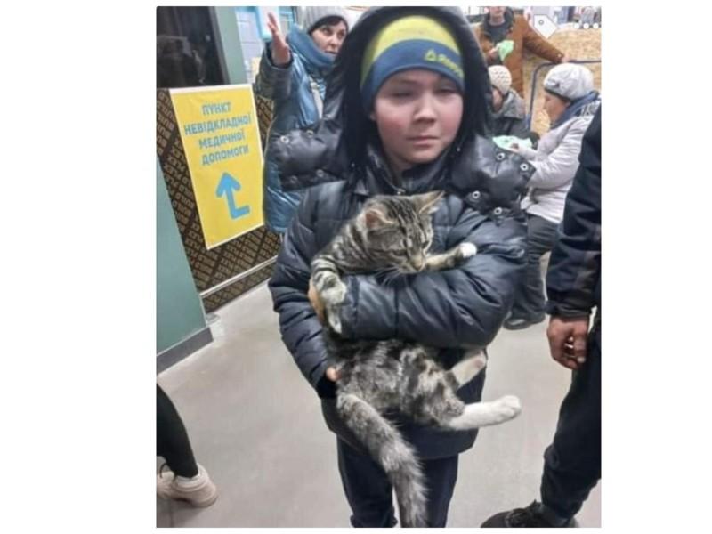 Стаття Маленькі герої. Хлопчик з Маріуполя після 15 діб в окупації, евакуювався з котом Ранкове місто. Київ