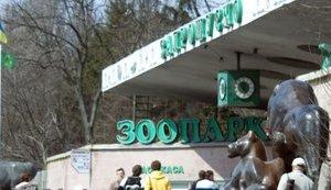 Стаття Воєнні будні київського зоопарку. ВIДЕО Ранкове місто. Київ