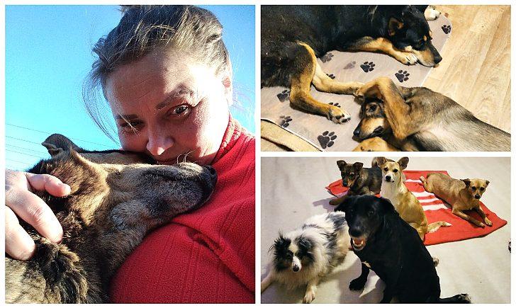 Стаття «Сотні котів та собак тепер на вулиці»: волонтерка з Донеччини рятує тварин, яких покинули, тікаючи від війни Ранкове місто. Київ
