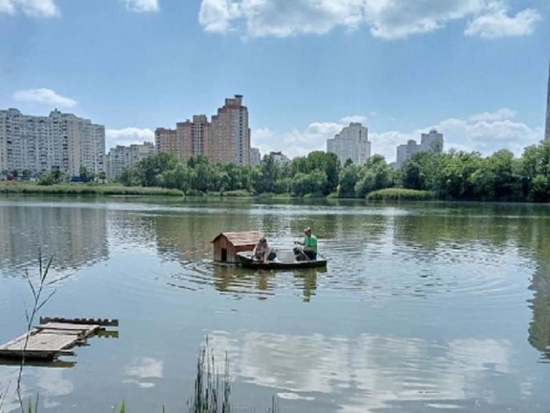 Стаття У Києві забрали на ремонт качиний будинок з озера Лебедине Ранкове місто. Київ