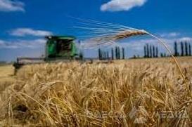 Стаття Фермеры Одесской области первыми в Украине начали собирать урожай Ранкове місто. Київ