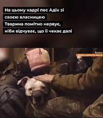 Стаття Оккупанты украли собаку у военных с Азовстали и подарили ее Кадырову, - СМИ Ранкове місто. Київ