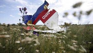Стаття За збиття літака рейсу МН17 відповідальна Росія, - резолюція ПАРЄ Ранкове місто. Київ