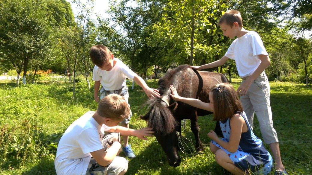 Статья Семья из Донетчины эвакуировала шесть детей с инвалидностью и лошадей в Прикарпатье Утренний город. Киев