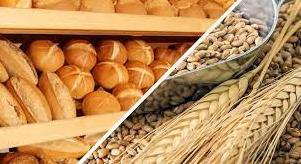 Стаття На юге Украины собрали уже более 300 тысяч тонн хлеба Утренний город. Київ