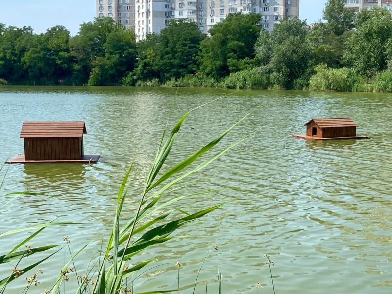 Стаття На озеро Лебедине повернулись качині будиночки – фото Ранкове місто. Київ