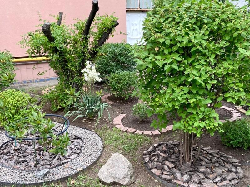 Стаття Киянка перетворила територію біля свого будинку на розкішний міні-сад – фото Ранкове місто. Київ