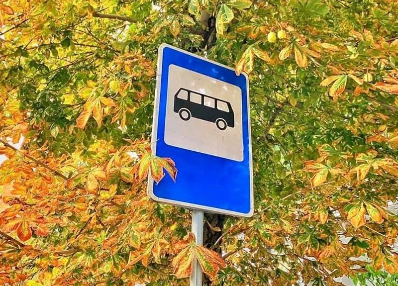 Стаття Відновлюють роботу автобуси, що курсують від Академмістечка до Пущі-Водиці Ранкове місто. Київ