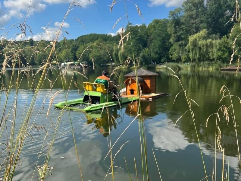 Стаття На озері у Голосіївському парку з’явився качиний будиночок Ранкове місто. Київ