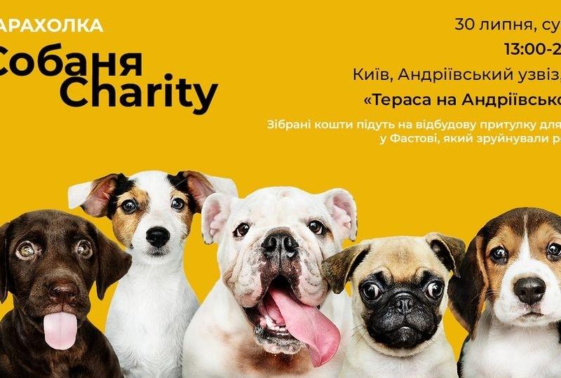 Стаття У столиці на вихідних пройде благодійна барахолка “Собаня Charity” Ранкове місто. Київ