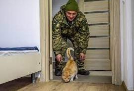 Статья Ветеранам АТО/ООС спростили умови придбання житла Утренний город. Киев