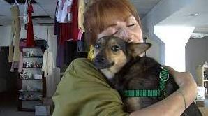Стаття У Луцьку запрацював пункт допомоги переселенцям з тваринами Ранкове місто. Київ