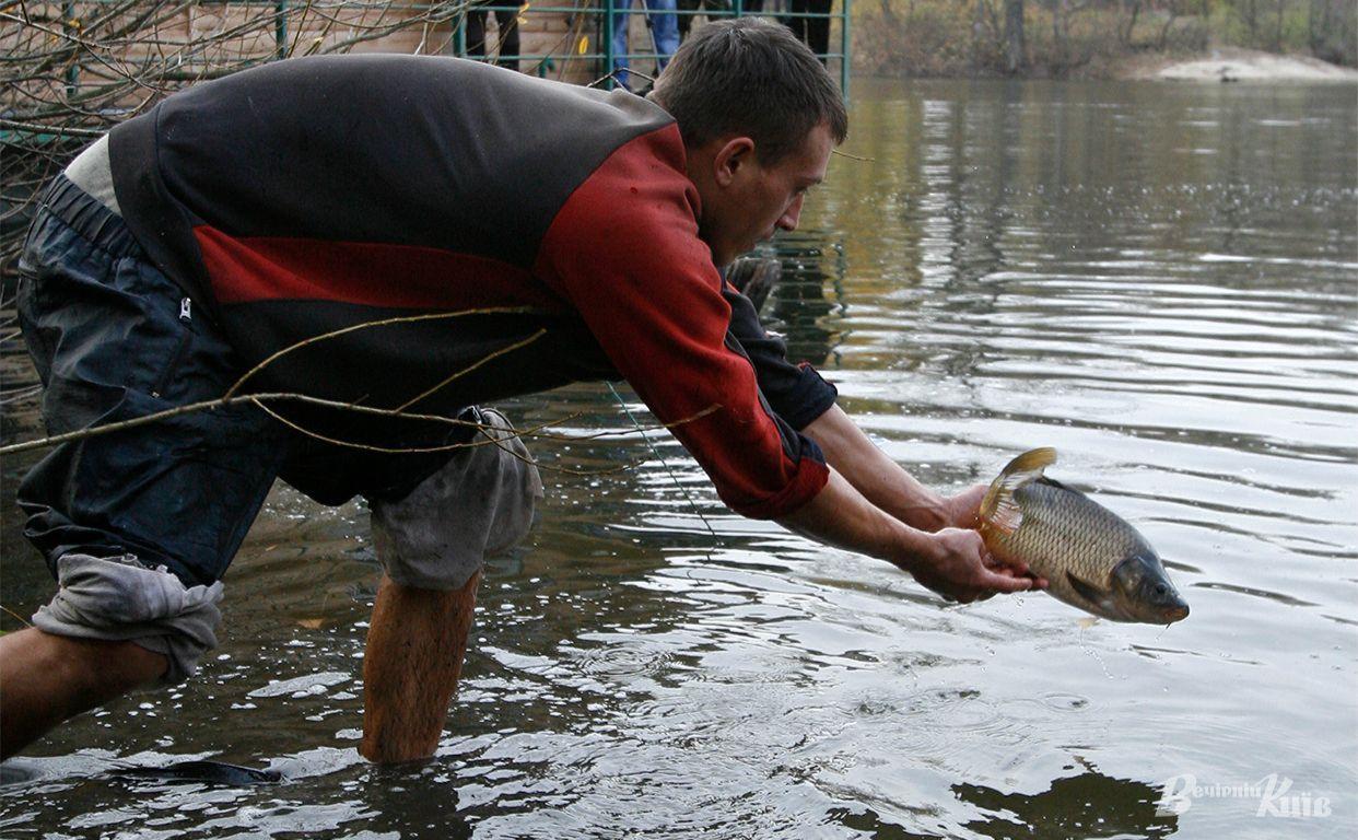Стаття На Київщині у водосховище випустили понад 4 тонни риби: фото Ранкове місто. Київ