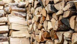 Стаття Жителям прифронтових територій почнуть доставляти безкоштовні дрова наступного тижня Утренний город. Київ