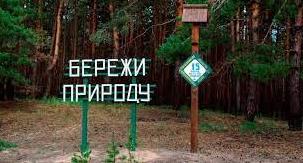 Стаття Життя після деокупації: як Лиманський лісгосп відновлює свою роботу Ранкове місто. Київ