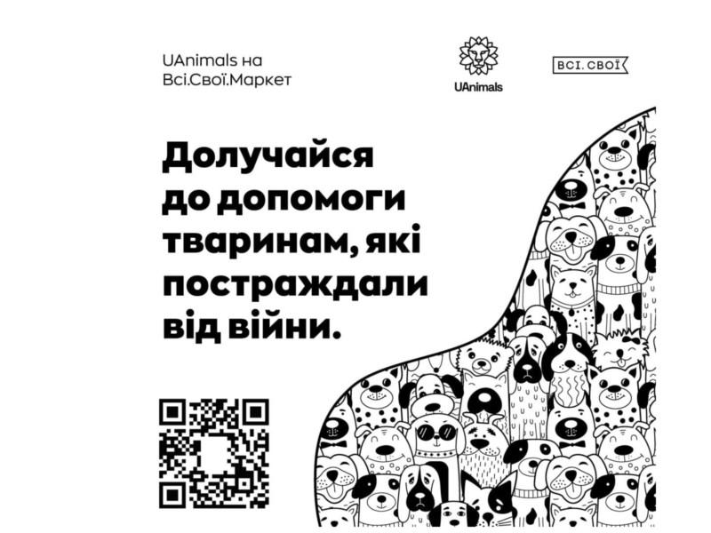 Стаття Порятунок тварин: на вихідних киян чекають на благодійному маркеті Утренний город. Київ