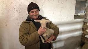 Стаття Ферма на Прикарпатті стала прихистком для понад пів сотні тварин із Бахмута Ранкове місто. Київ