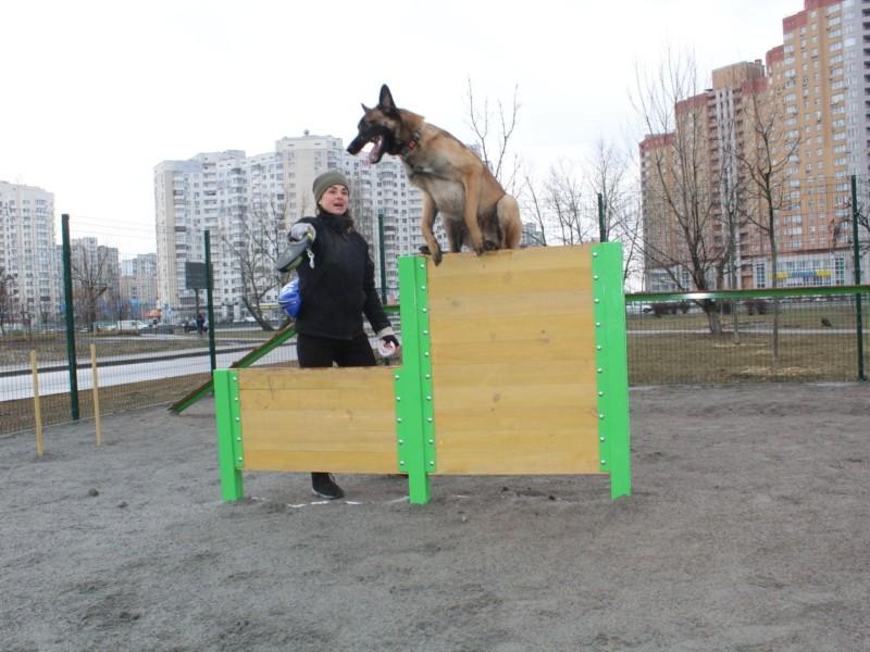 Стаття Мрія чотирилапих: на Дарниці з’явився майданчик для активного вигулу собак Утренний город. Київ