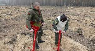 Стаття На деокупованій Лиманщині на місці знищеного лісу висадили понад 9 тис. сосен Ранкове місто. Київ