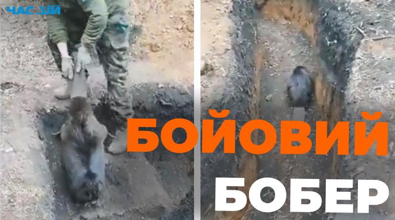 Стаття Як бійці ЗСУ намагаються виселити “бойового” бобра з окопу Ранкове місто. Київ