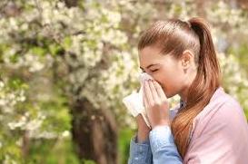 Стаття Для алергіків створено карту відстеження цвітіння: як полегшити симптоми алергії Ранкове місто. Київ