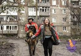 Стаття Волонтери врятували понад пів сотні тварин з Часового Яру Ранкове місто. Київ