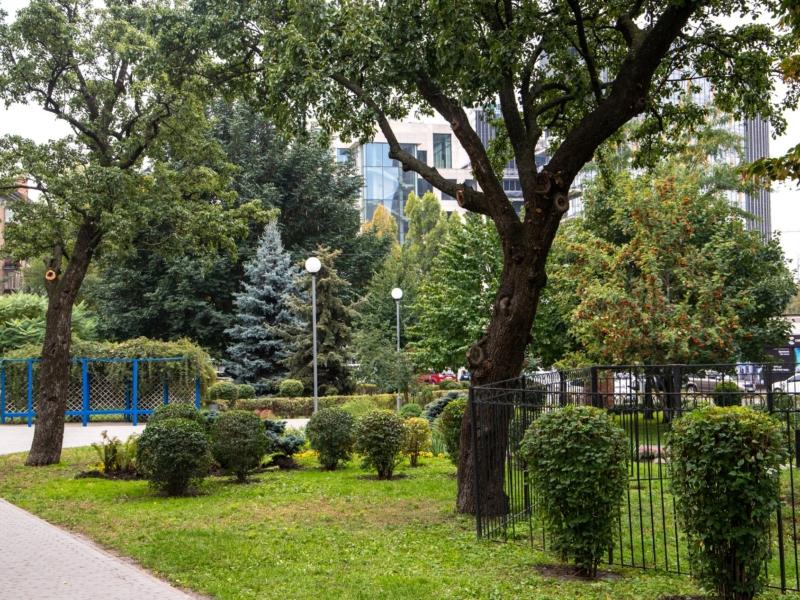Стаття У Києві впроваджують європейські практики догляду за зеленими насадженнями Ранкове місто. Київ